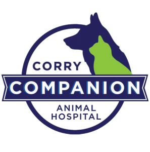 Animal Hospital Corry PA