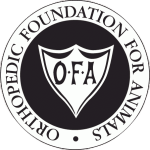 orthopedic foundation